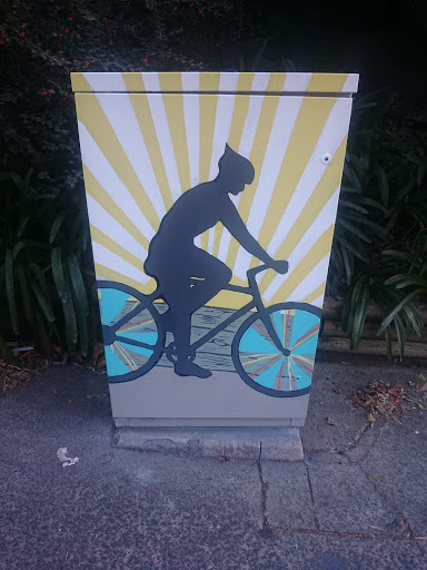 Shadow Cyclist Traffic Box