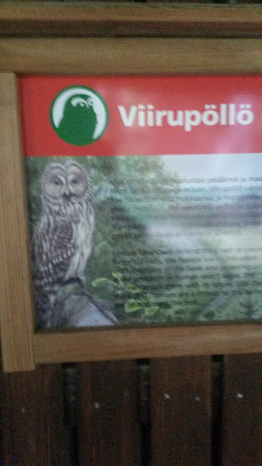 Viirupöllö