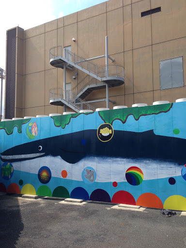 クジラ壁画
