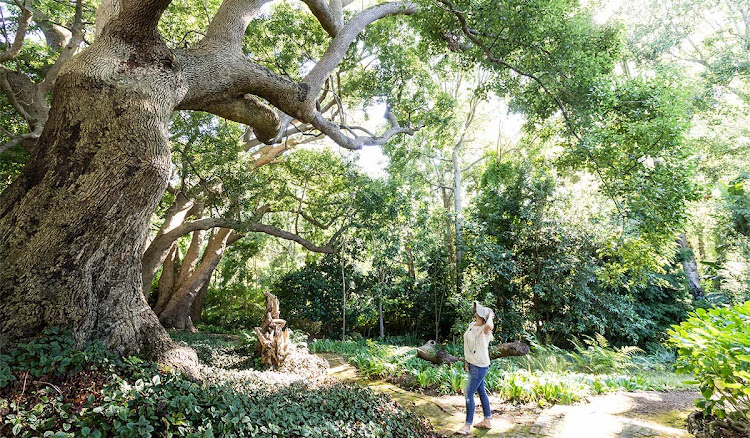 The Cellars-Hohenort Hotel gardens.