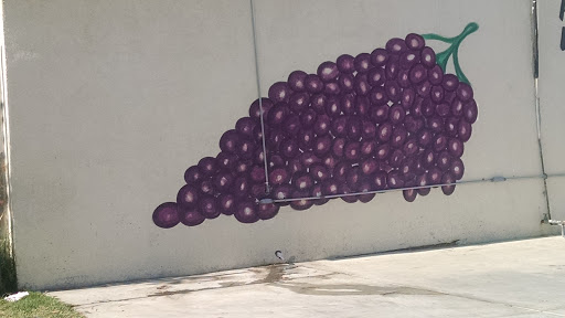 Grapes Mural
