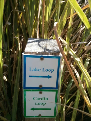 Lake Loop Sign