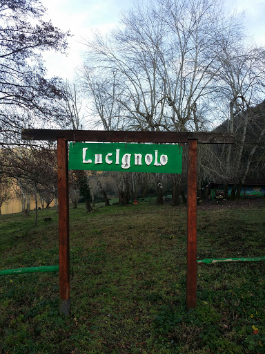 Lucignolo