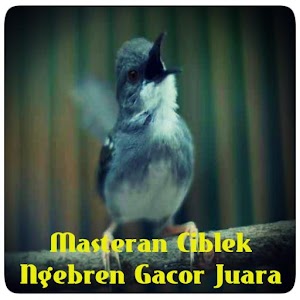 Download Masteran Ciblek Ngebren Gacor Lengkap Juara For PC Windows and Mac