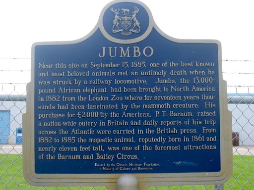 Near this site on September 15, 1885, one of the best known and most beloved animals met an untimely death when he was struck by a railway locomotive. Jumbo, the 5900 kg African elephant, had been...