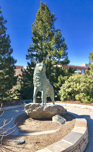 Jonathan the Husky Statue