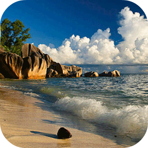 Download Beach Live Wallpapers For PC Windows and Mac