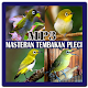 Download Mp3 Masteran Tembakan Pleci For PC Windows and Mac 1.0