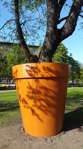 Giant Flower Pot