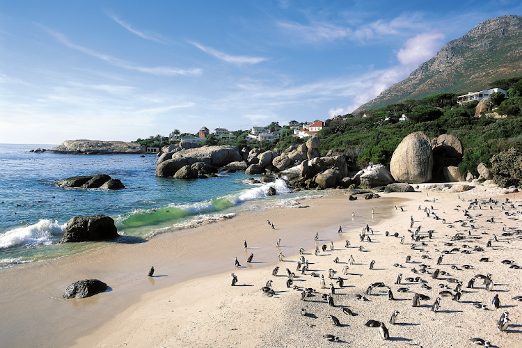 Boulders Beach, Cape Town, came in second place.