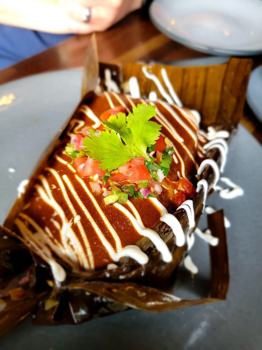 Pork Tamale