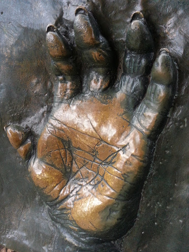 The Gorilla Hand