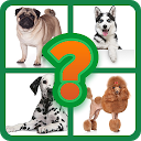 ダウンロード Popular Dog Breeds Quiz をインストールする 最新 APK ダウンローダ