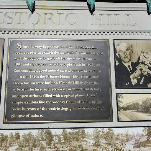 Since its very beginning, the Saint Louis Zoo has been a leader in exhibit design. With the world's largest walk-through bird cage built for the World's Fair of 1904 and the open moated bear pits...