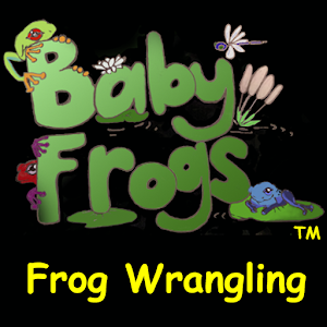 Download Baby Frogs For PC Windows and Mac