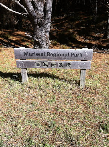 Muriwai Regional Park