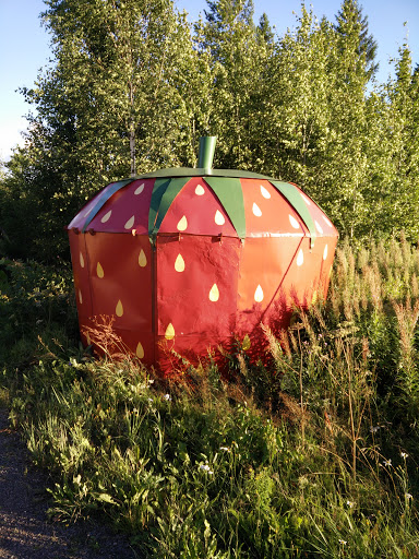 Giant Strawberry 