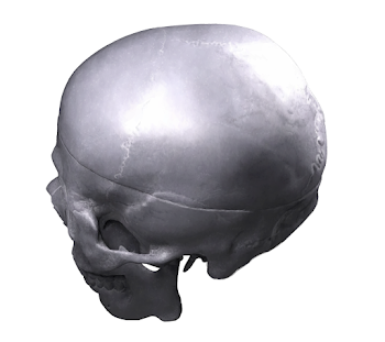 Skull 32