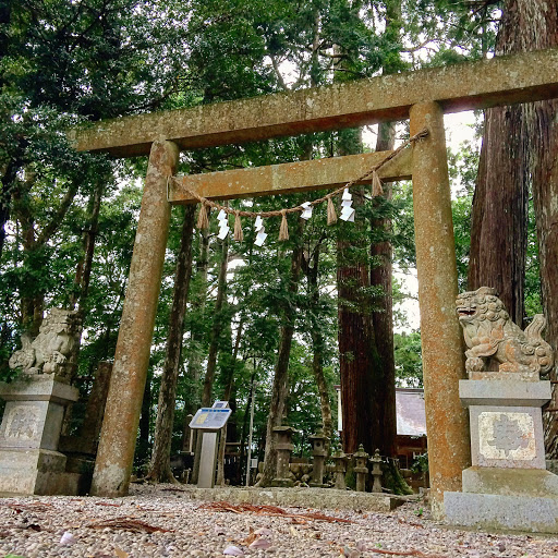 飛鳥神社四本杉鳥居