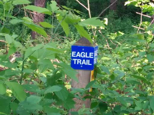 Eagle Trail Marker - Glover Park