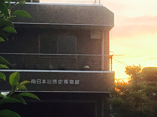 南日本自然史博物館