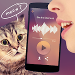 Translator for cats Simulator Apk