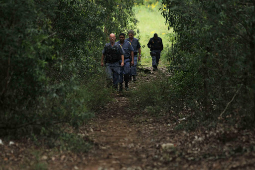 HIDDEN DANGER: Police search in the forest for the young woman who was kidnapped yesterday afternoon