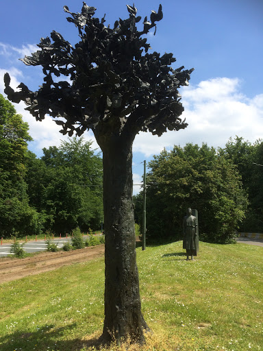 La Quadrature de l'Arbre