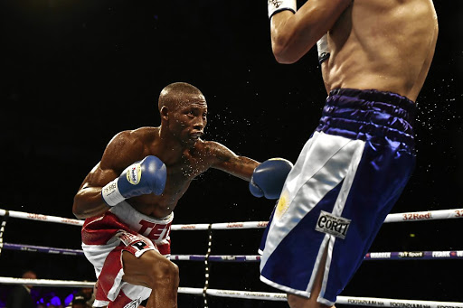 Zolani Tete is in the money-spinning World Boxing Series, which starts in September, while Hekkie "Hexecutioner" Budler could make history in Japan on Sunday.