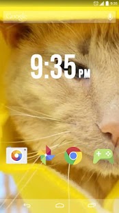 How to install Cats Pokemons Cosplay Live WP patch 1.0 apk for bluestacks