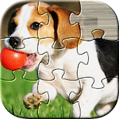 Dog Puzzles Kids Games