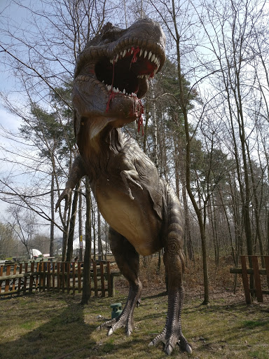 Trex 