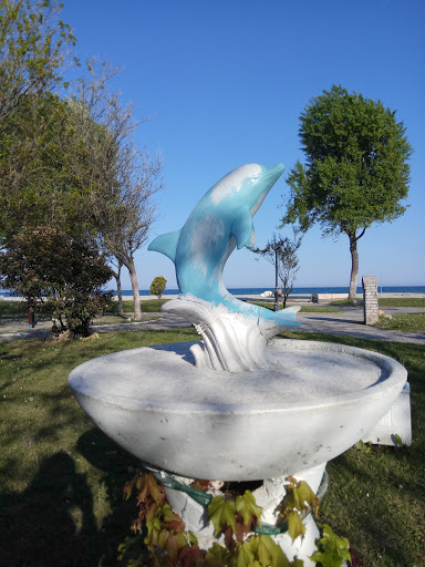 Stone Dolphin