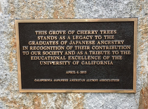 THIS GROVE OF CHERRY TREES  STANDS AS A LEGACY TO THE  GRADUATES OF JAPANESE ANCESTRY  IN RECOGNITION OF THEIR CONTRIBUTION  TO OUR SOCIETY AND AS A TRIBUTE TO THE  EDUCATIONAL EXCELLENCE OF THE ...