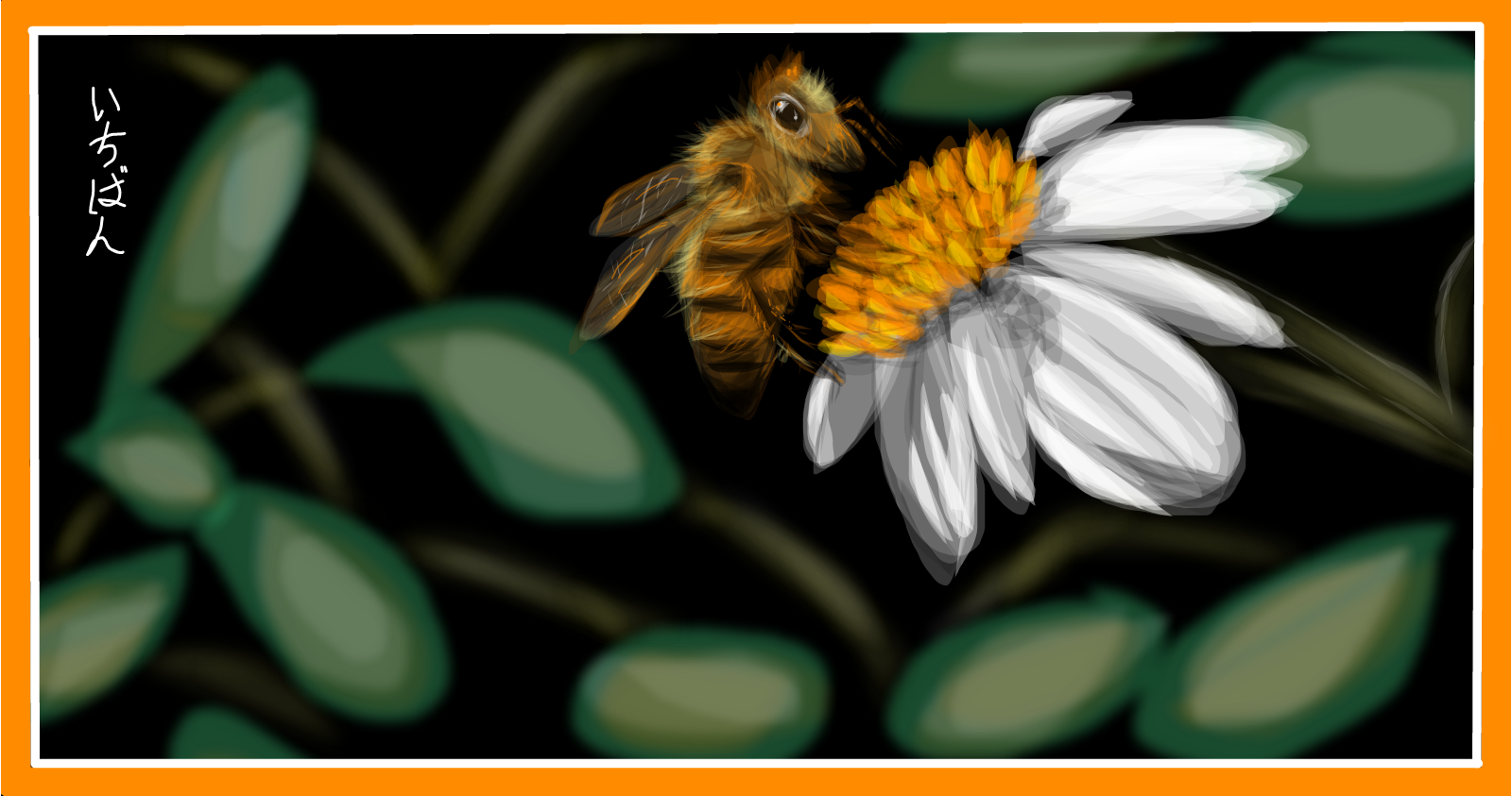 Honey Bee (2)