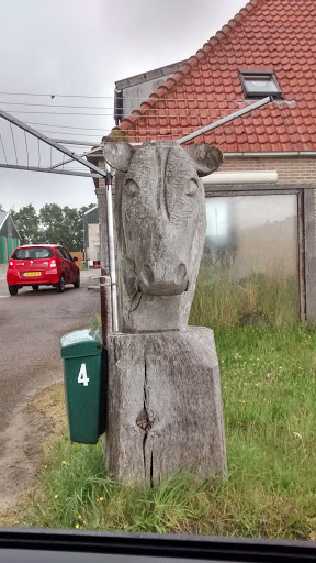 Cow Head