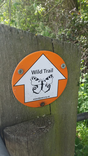 Wild Trail Marker