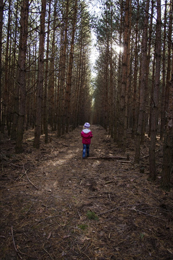 child lost in forrest - Stock image