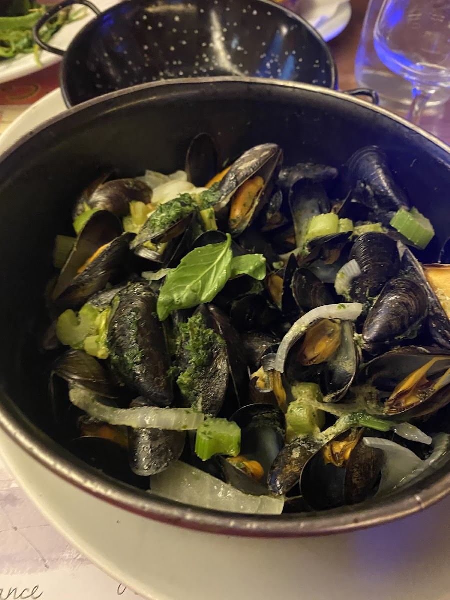 Mussels in a white wine, cream and parsley sauce