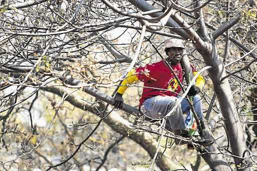 BRANCHING OUT: A Numsa member watches thousands of his union's workers march in Randburg during a wages protest