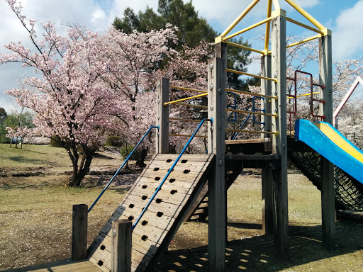 緑ヶ丘公園木製滑り台