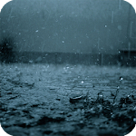 Rain Live Wallpaper Apk