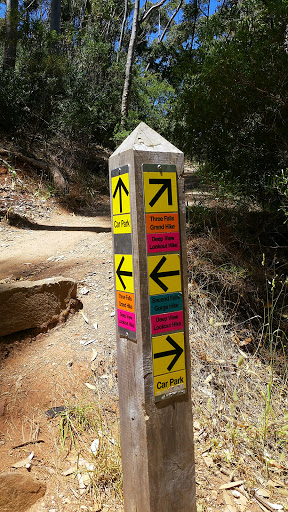 Deep View Lookout Hike