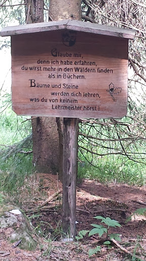 Weisheit Am Wanderweg