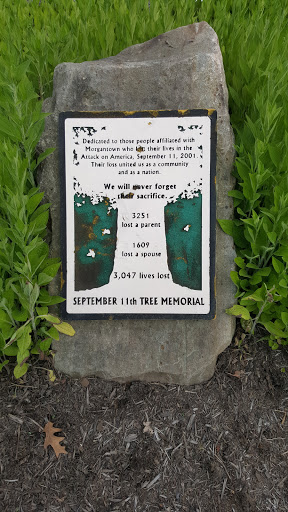 September 11th Tree Memorial