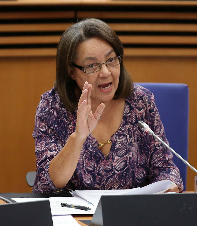New nepotism claims against me are rubbish‚ says De Lille