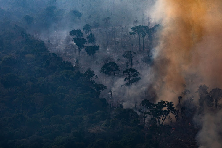 A fire burns in a section of the Amazon rain forest in Porto Velho, Brazil. Picture: GETTY IMAGES/VICTOR MORIYAMA