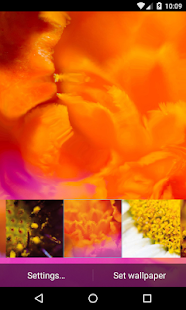 How to install Blurred flowers Live Wallpaper lastet apk for android