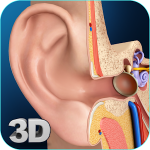 Download My Ear Anatomy For PC Windows and Mac
