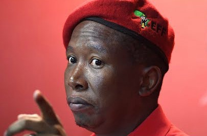 The EFF says Stella Ndabeni-Abrahams' suspension is not enough to deter members of the executive from flouting lockdown rules.
